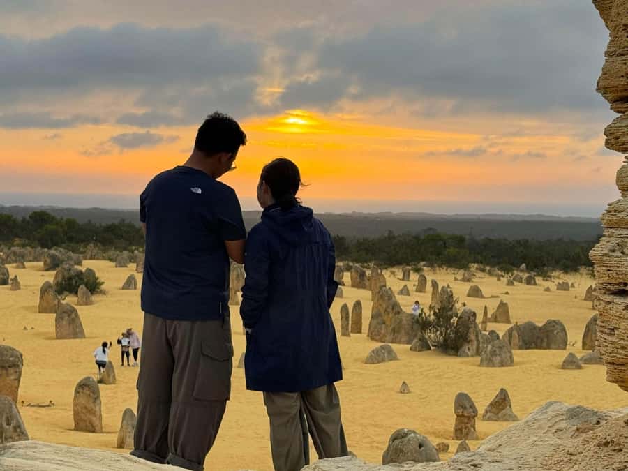 Perth: Pinnacles Stargazing, Sandboarding & Beach Kangaroos - Is the tour good value?