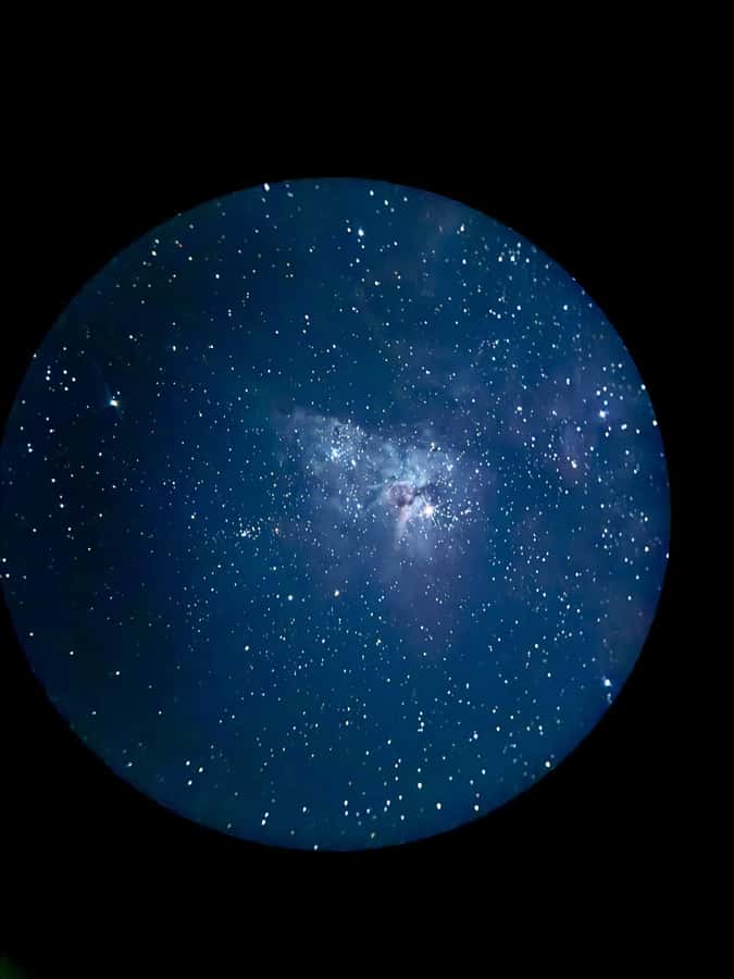 Perth: Pinnacles Stargazing, Sandboarding & Beach Kangaroos - Coastal views and the search for beach kangaroos