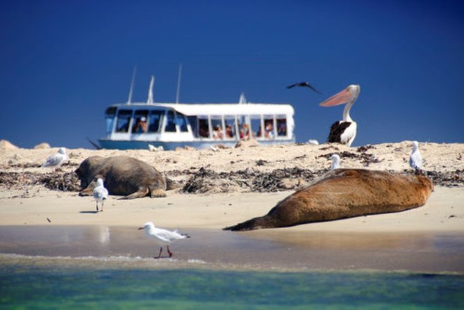 Pinnacle Desert Sunset and Night-time Stargazing Tour from Perth - Cervantes dinner and an old fishing town