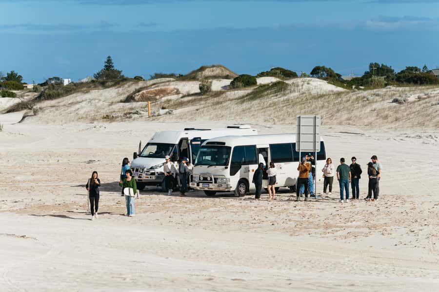 Pinnacles Desert: Sunset BBQ & Stargazing Tour +Sandboarding - Who will enjoy this tour most?