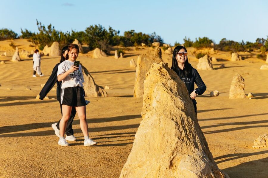 Pinnacles Desert: Sunset BBQ & Stargazing Tour +Sandboarding - The long return to Perth