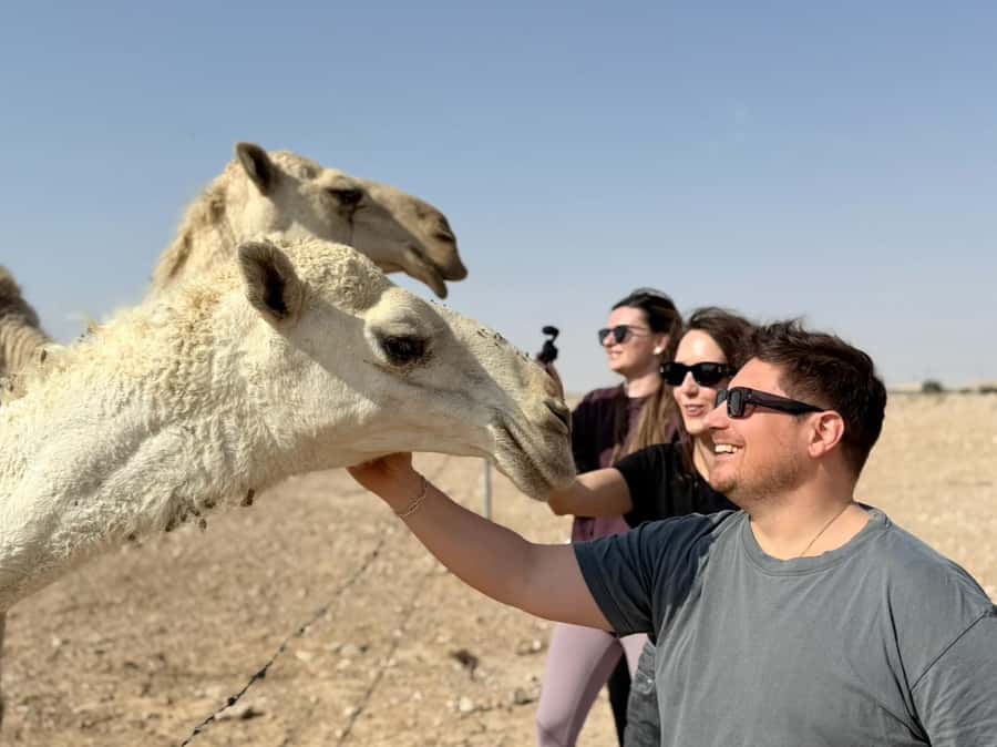 Riyadh: Edge Of The World, camels &Stargazing with 4x4 - Should you book the Edge of the World tour?