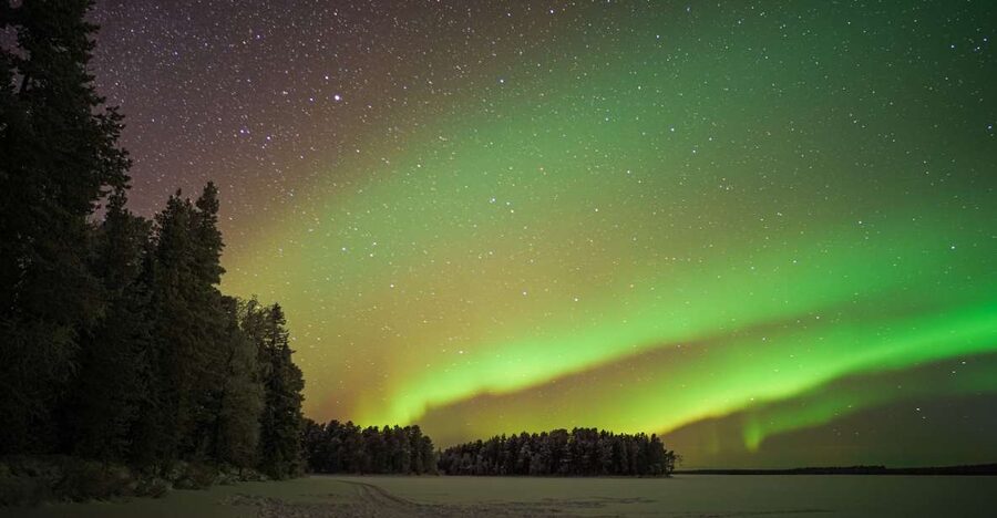 Rovaniemi: Night Sky lappish Barbecue - Should you book the Night Sky Lappish Barbecue?