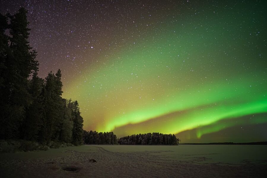 Rovaniemi: Night Sky lappish Barbecue - From your hotel to the dark countryside