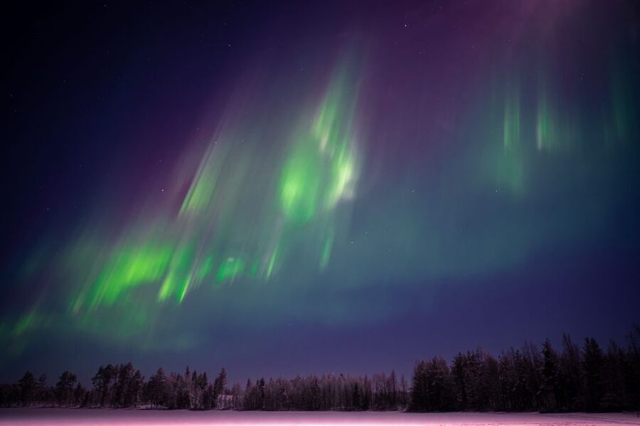 Rovaniemi: Night Sky lappish Barbecue - Seeing the northern lights without a promise