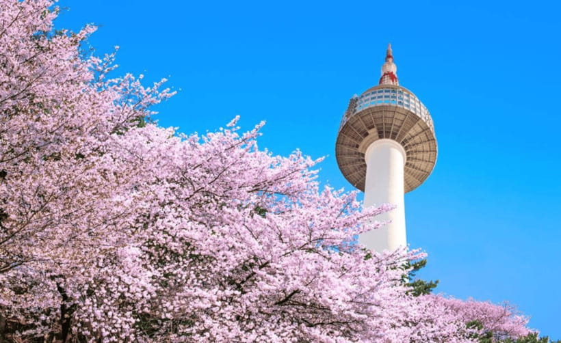 Seoul: N Seoul Tower Observatory Ticket - Choosing daylight, sunset, or Seoul after dark
