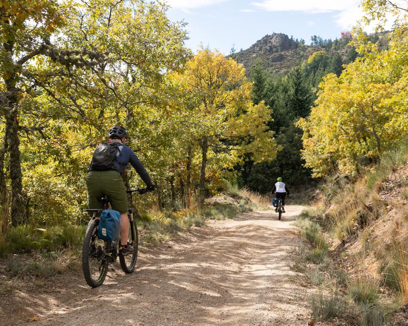 Serra da Estrela: Private E-Bike Tour with Observatory - Carvalheira and the return through tall trees