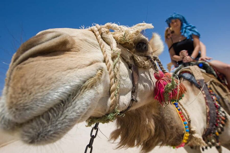 Sharm El-Sheikh: Camel Riding, Stargazing, BBQ Dinner & Show - Making Bedouin bread by hand