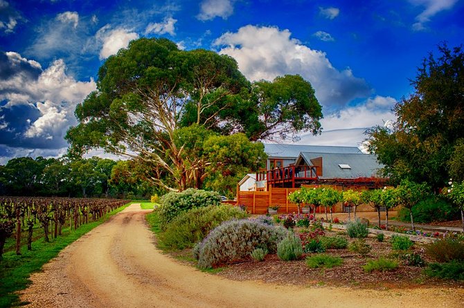Small-Group River Murray Dark Sky and Sunset Tour with Dinner - Is $214.46 per person good value?
