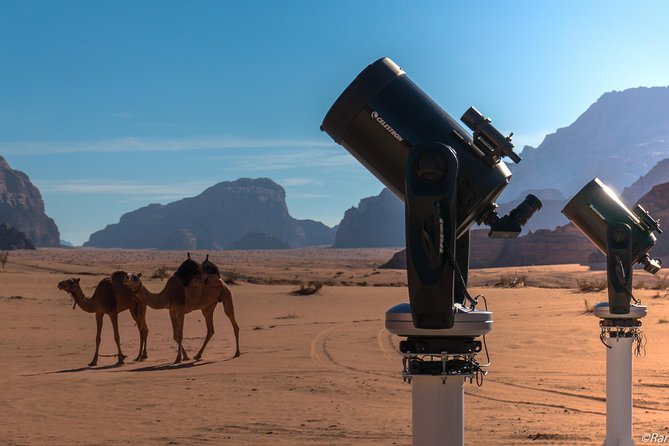 Stargazing Adventure in Jordan - Key points to know before you book