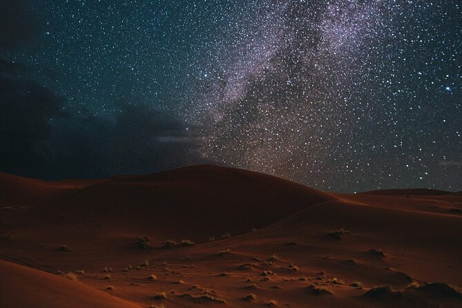 Stargazing in the Desert from Riyadh with Dinner - The chance to meet Bedouin camel herders