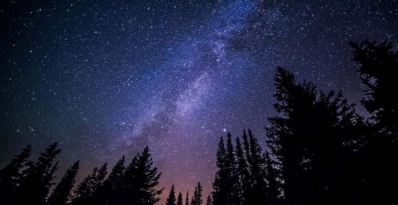 Stroll among the stars : Stargazing and Astronomy Tour - Choosing the viewing spot and preparing for darkness