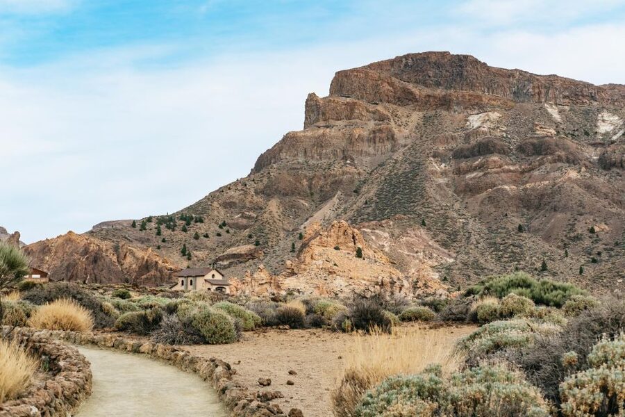 Teide: Guided Sunset & Stargazing Tour by Night with Dinner - Dinner at C. Portillo, 31