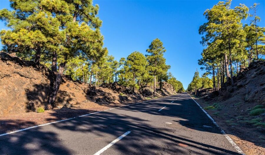 Teide: Guided Sunset & Stargazing Tour by Night with Dinner - Transport, timing, and group comfort