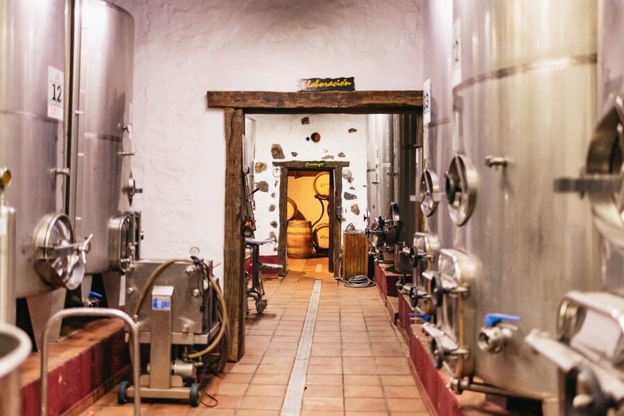 Teide Night Experience with Dinner and Stargazing - Bodegas Reverón and a taste of Tenerife