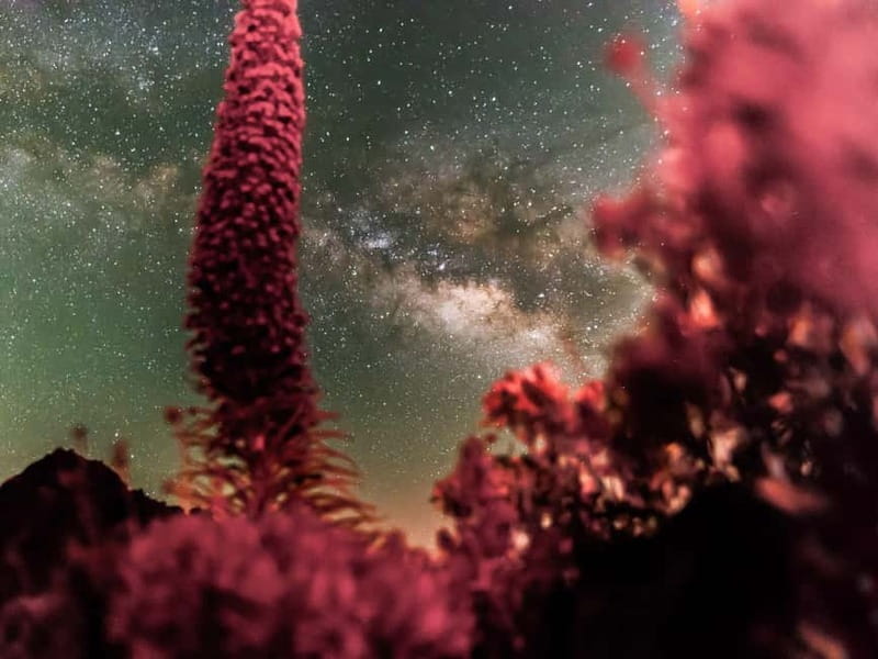 Tenerife: Teide Stargazing with an Astrophysicist - Constellations, myths, and the science behind the view