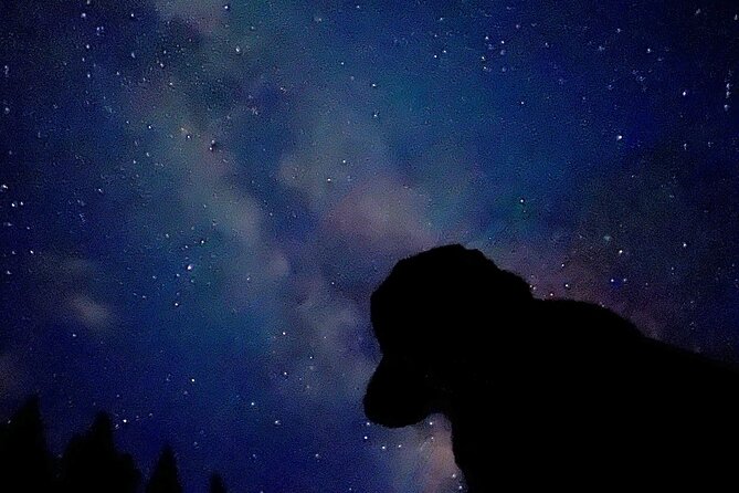 The Banff Stargazing Tour - 2hr Walking Tour - Is the $68.34 price good value?