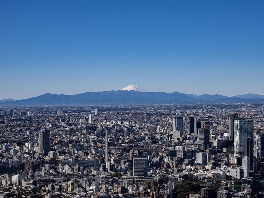 Tokyo: Roppongi Hills Observatory Ticket - Why an evening visit makes sense
