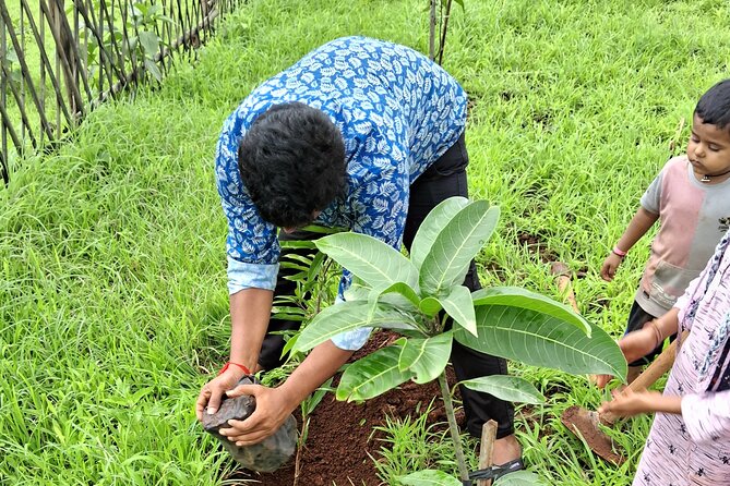 Tour De Small Town Maharashtra Nature Trekking and Star Gazing - Key points to know before you book