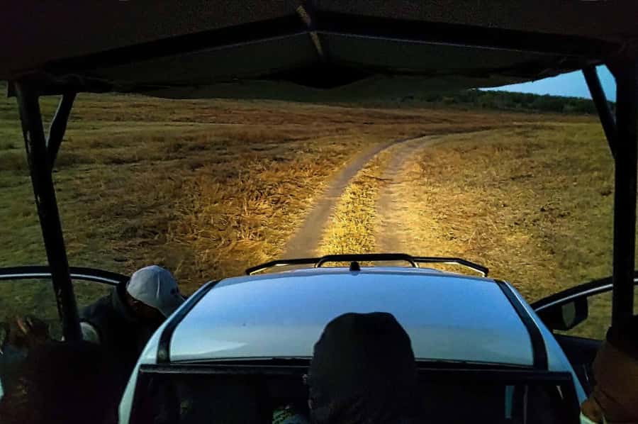 Victoria Falls: Bush Experience and Stargazing D-F-ES-GB - Why nighttime changes Victoria Falls