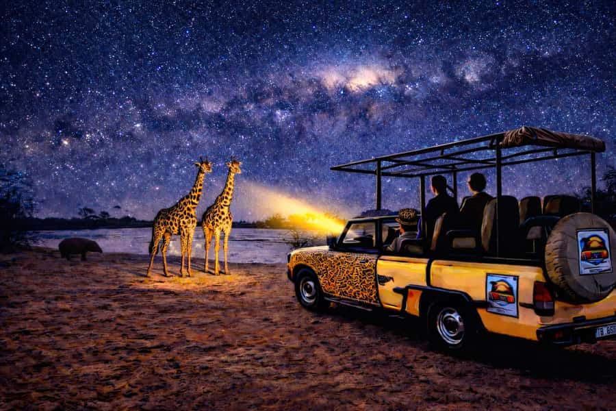Victoria Falls: Bush Experience and Stargazing D-F-ES-GB - From Victoria Falls to the park gates